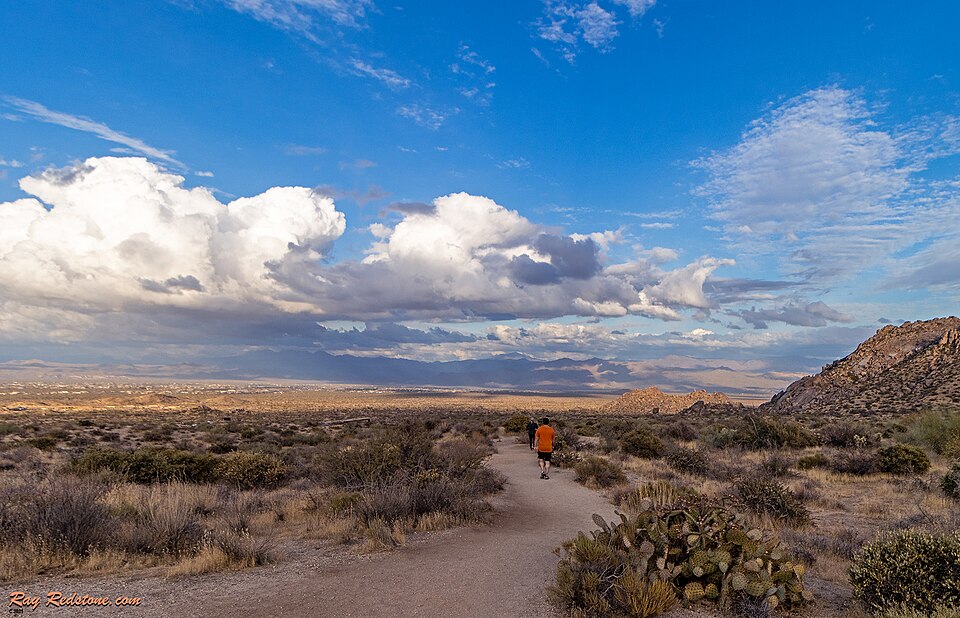 매키도웰 소노란 보호구역 게이트웨이 트레일헤드 (McDowell Sonoran Preserve Gateway Trailhead) 여행 추천 - 로드트립