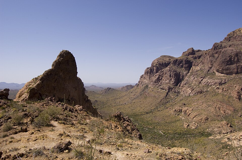 오르간 파이프 선인장 국립기념물 (Organ Pipe Cactus National Monument) 여행 추천 - 로드트립