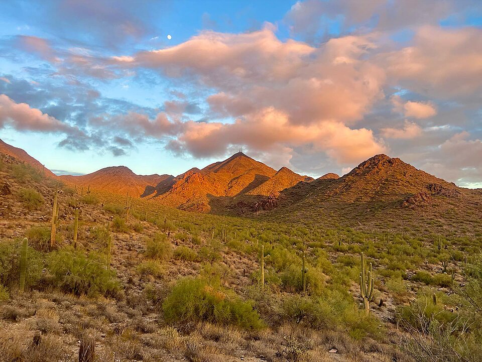 매키도웰 소노란 보호구역 게이트웨이 트레일헤드 (McDowell Sonoran Preserve Gateway Trailhead) 여행 추천 - 로드트립