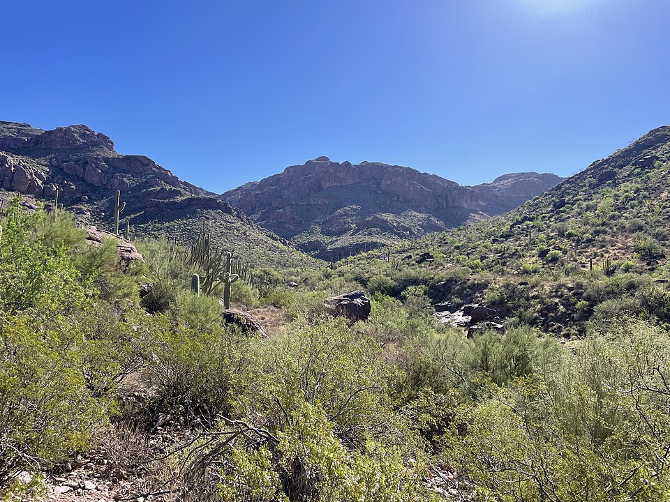 오르간 파이프 선인장 국립기념물 (Organ Pipe Cactus National Monument) 여행 추천 - 로드트립